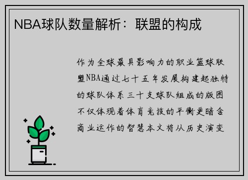 NBA球队数量解析：联盟的构成
