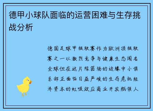 德甲小球队面临的运营困难与生存挑战分析